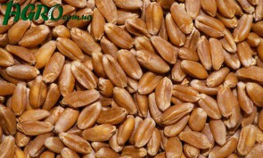 1agro.com.ua