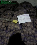 1agro.com.ua