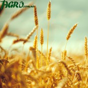 1agro.com.ua