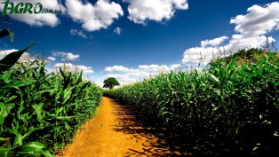 1agro.com.ua