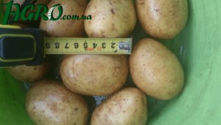 1agro.com.ua