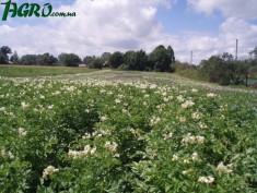 1agro.com.ua