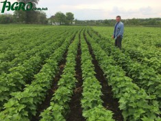 1agro.com.ua