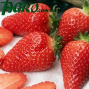 1agro.com.ua