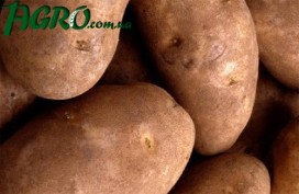 1agro.com.ua