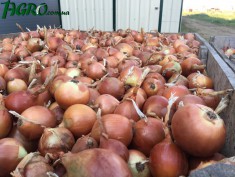1agro.com.ua