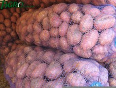 1agro.com.ua