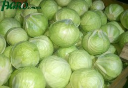 1agro.com.ua