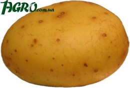 1agro.com.ua