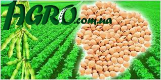1agro.com.ua