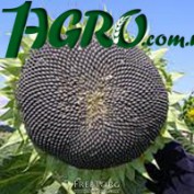 1agro.com.ua