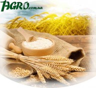 1agro.com.ua