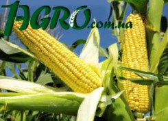 1agro.com.ua
