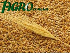 1agro.com.ua