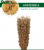 1agro.com.ua