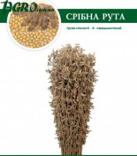 1agro.com.ua