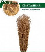 1agro.com.ua