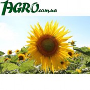 1agro.com.ua
