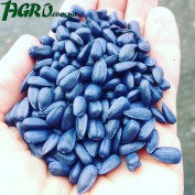 1agro.com.ua