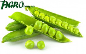 1agro.com.ua