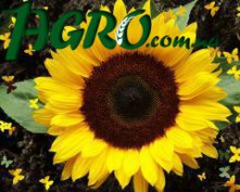 1agro.com.ua
