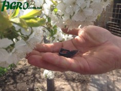 1agro.com.ua