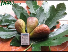 1agro.com.ua