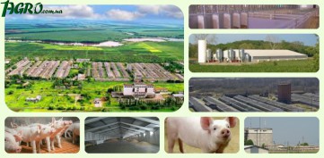 1agro.com.ua