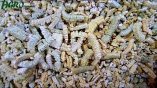 1agro.com.ua
