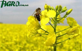 1agro.com.ua