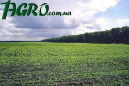1agro.com.ua