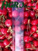 1agro.com.ua