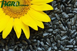 1agro.com.ua