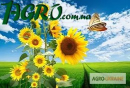 1agro.com.ua