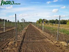 1agro.com.ua