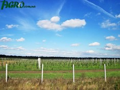 1agro.com.ua