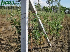 1agro.com.ua