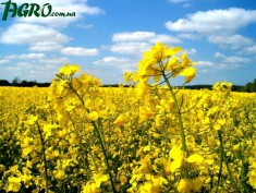 1agro.com.ua