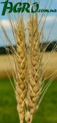 1agro.com.ua