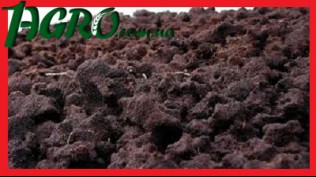 1agro.com.ua
