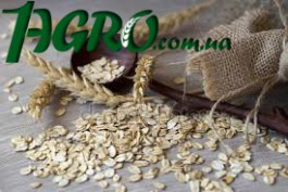 1agro.com.ua