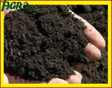 1agro.com.ua