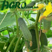 1agro.com.ua