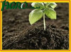 1agro.com.ua