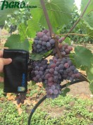 1agro.com.ua