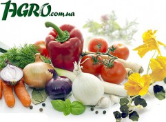 1agro.com.ua