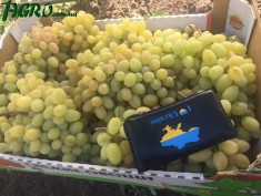 1agro.com.ua
