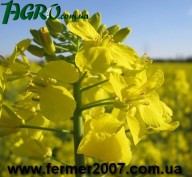 1agro.com.ua