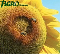 1agro.com.ua