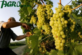 1agro.com.ua